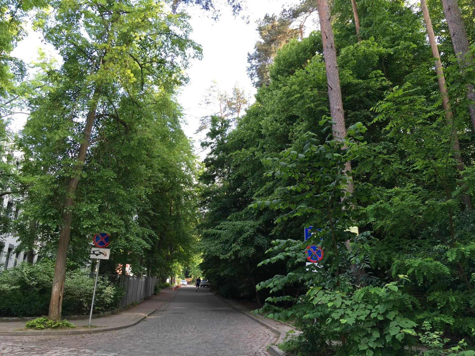 Przytulny Apartament Blisko Lasu Z Szybkim Wi-Fi Sopot Exterior foto